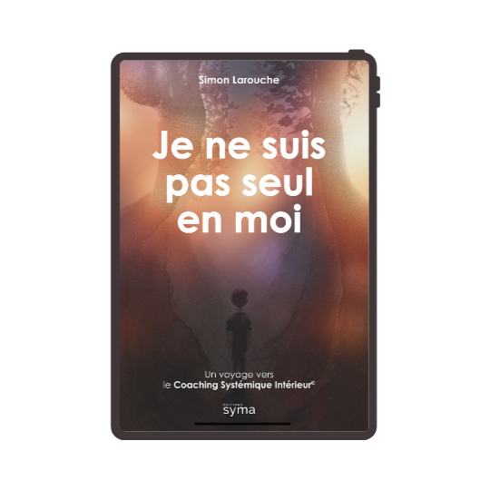 [NUMÉRIQUE] Je ne suis pas seul en moi